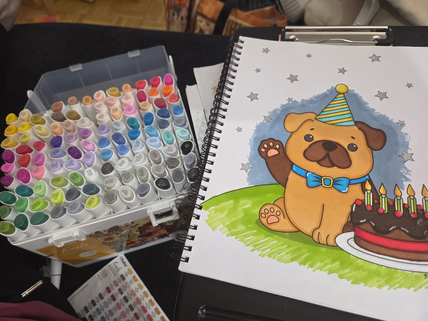 Customer photo review of Ohuhu Kaala Five Tones Slim Broad and Fine Dual Tips Alcohol Art Markers