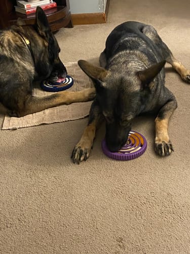 Customer photo review of FreezSwirl - Durable Stimulation Toy