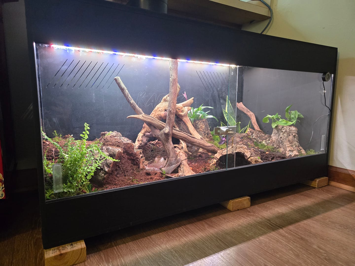 Customer photo review of 48"x24"x24" / 4'x2'x2' Premium PVC Reptile Enclosure