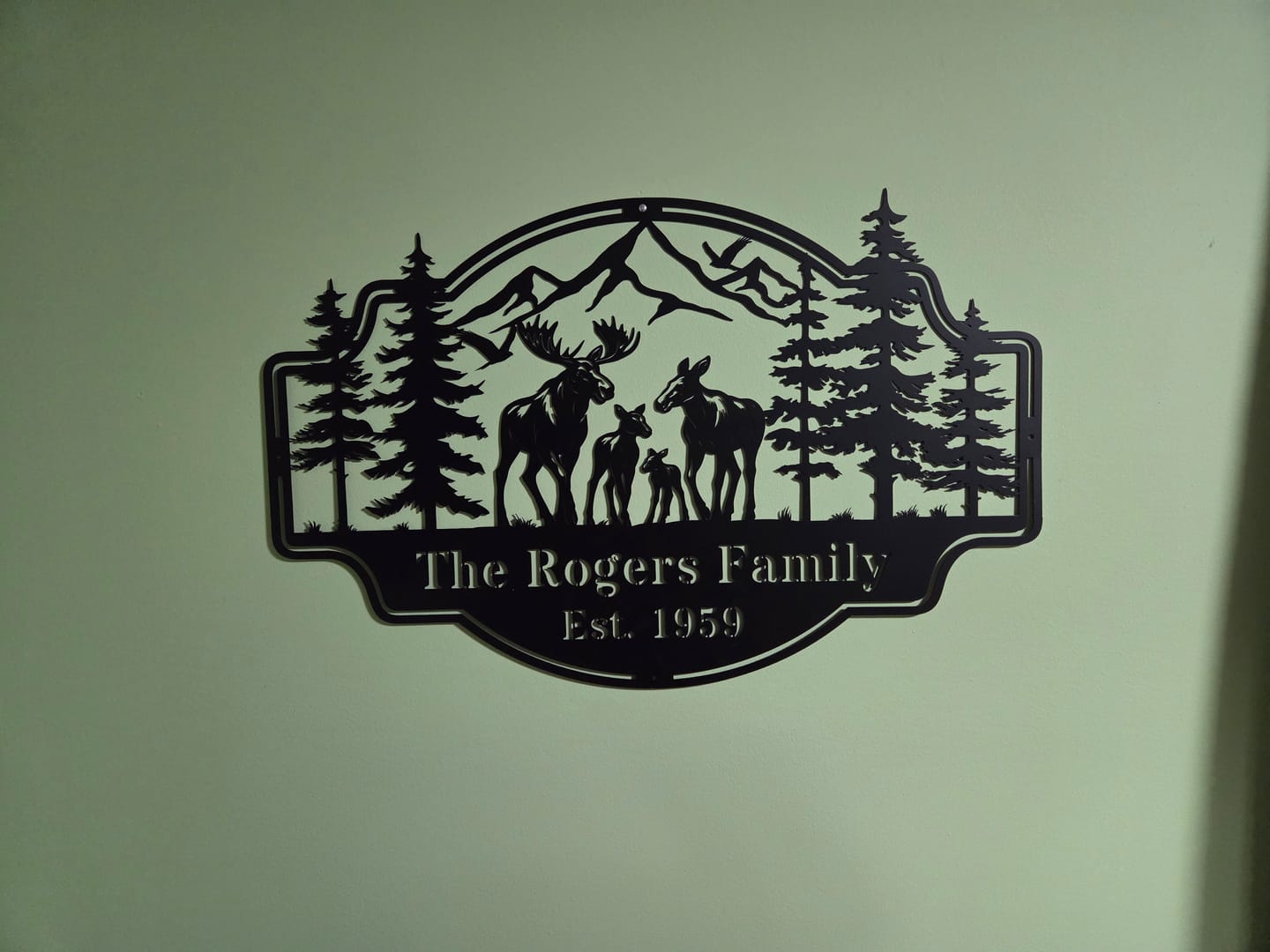 Customer photo review of Forest View Metal Sign