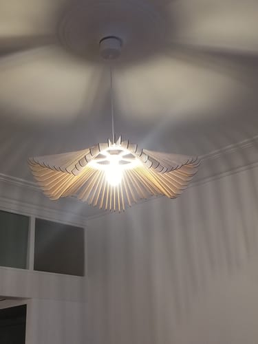 Customer photo review of Rose | Suspension