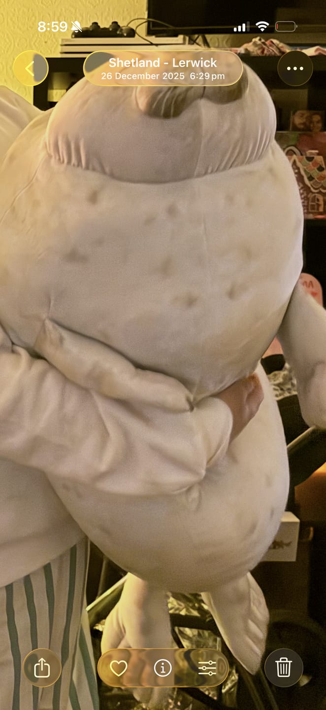 Customer photo review of Squishy Seal