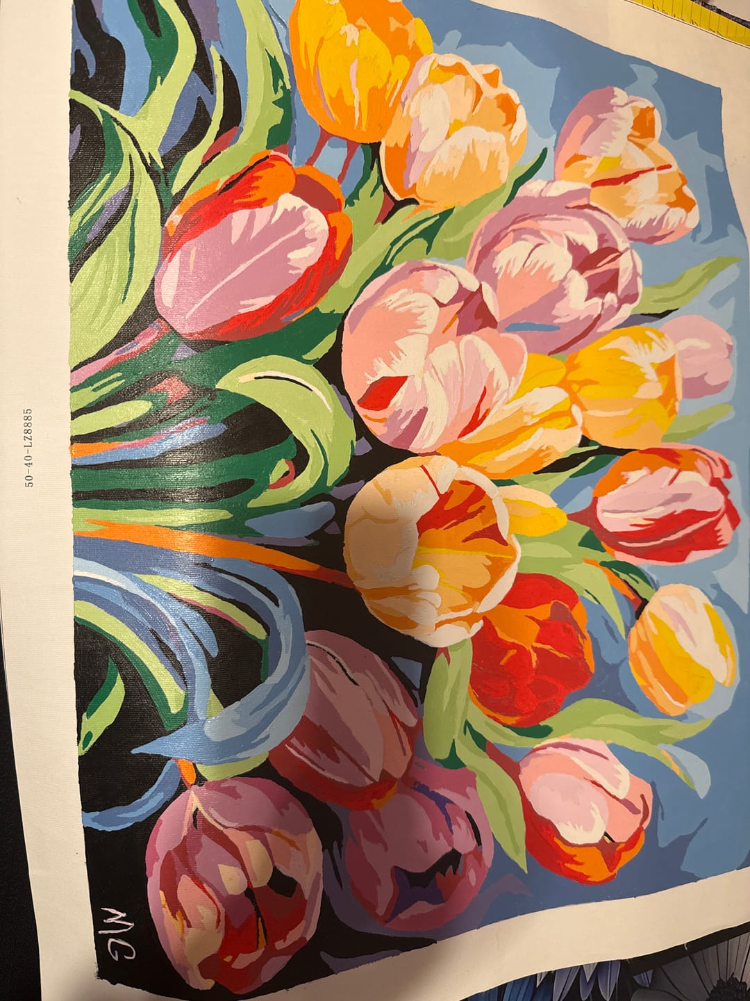Customer photo review of Vibrant Tulip Medley