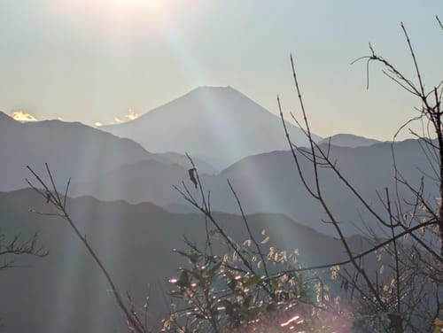 Customer photo review of Pair of Knee Compression Support Sleeves For Arthritic Pain Relief & Recovery