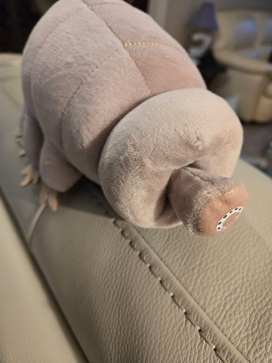 Customer photo review of Tardigrade Water Bear Soft Stuffed Plush Toy