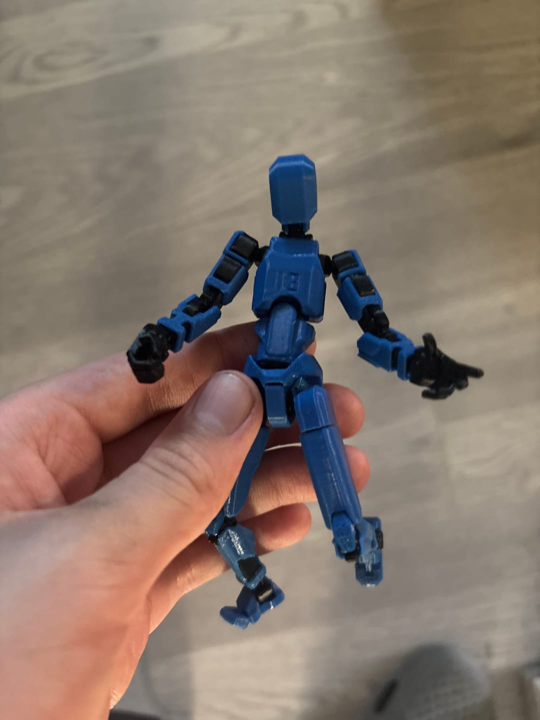 Customer photo review of Stick Titan