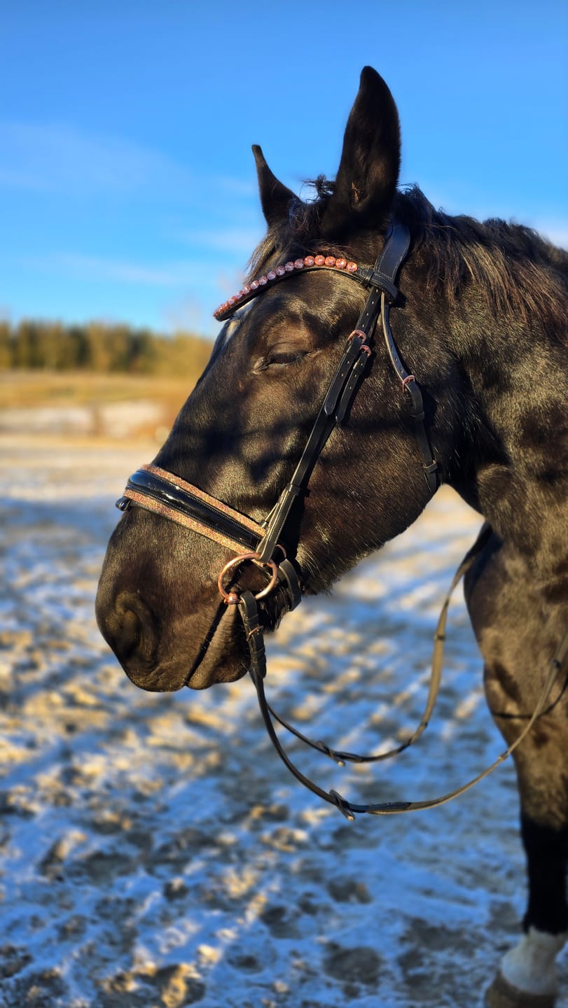 Customer photo review of Trense Roségold Crystal