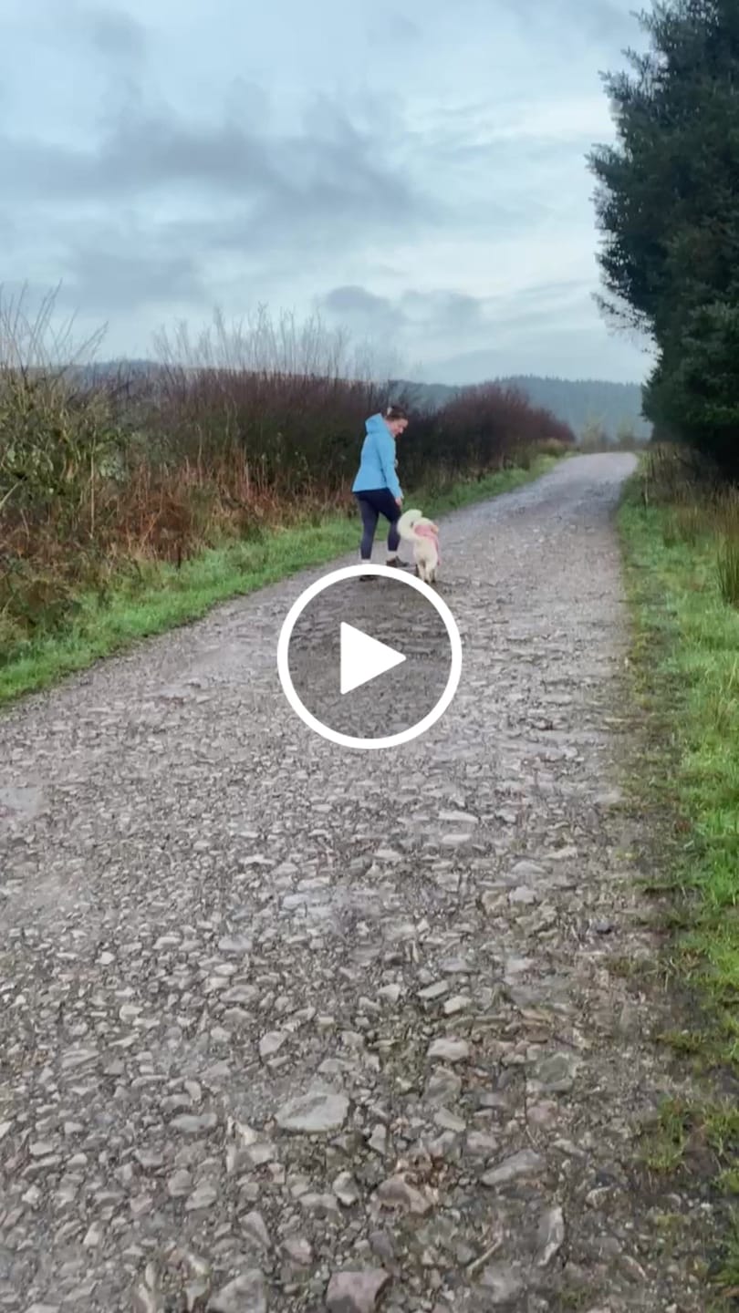 Customer video review of Cosy Dog Fleece Jumper - Zip Up / Step in Style | Rose Pink
