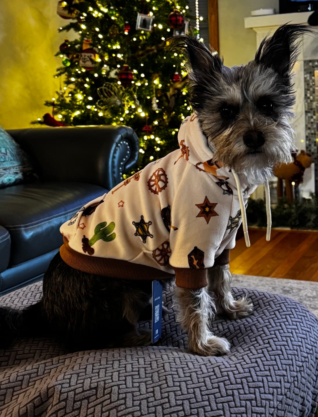 Customer photo review of Rodeo Dog Hoodie