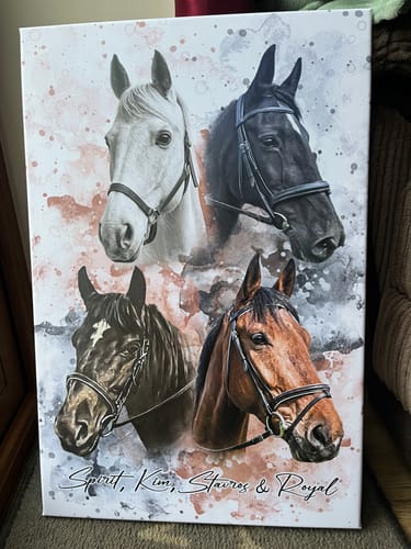 Customer photo review of Your Horse as Watercolor Portrait