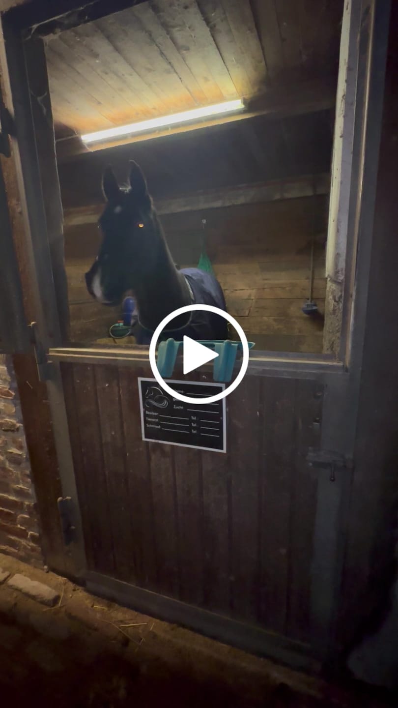 Customer video review of Kristallkraft Mental Balance
