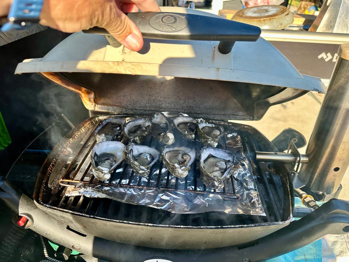 Customer photo review of Smokai Starter Kit for Weber® Q™