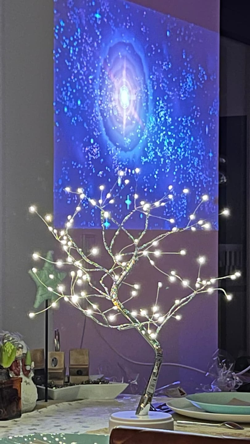 Customer photo review of Bäumlein® - 108 LED's