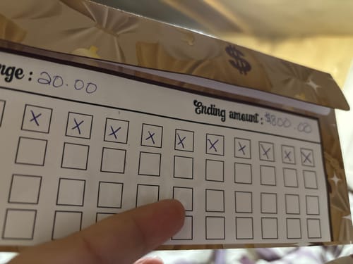 Customer photo review of Savings Challenge Envelopes - Tan