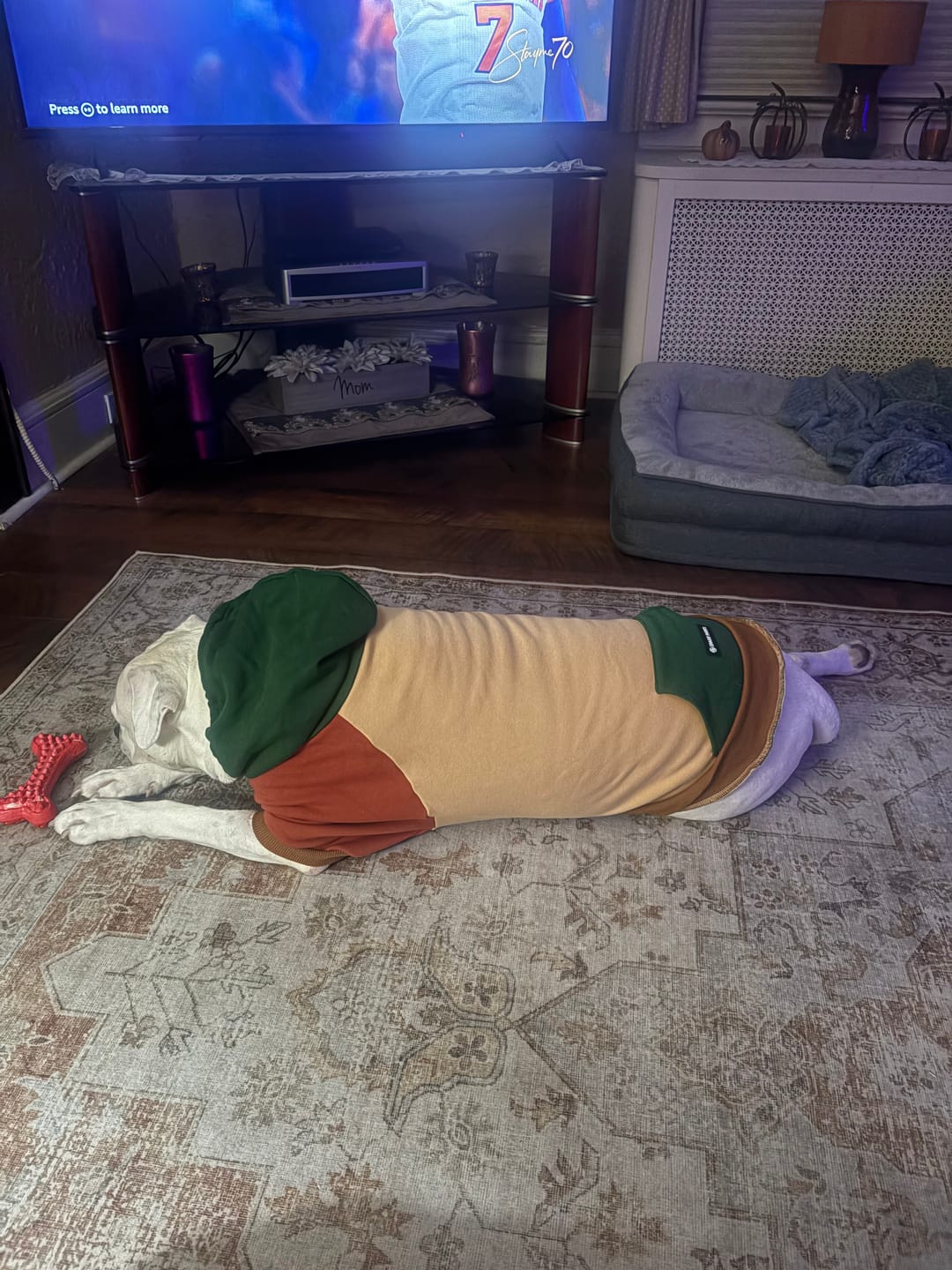 Customer photo review of Ranger Dog Hoodie