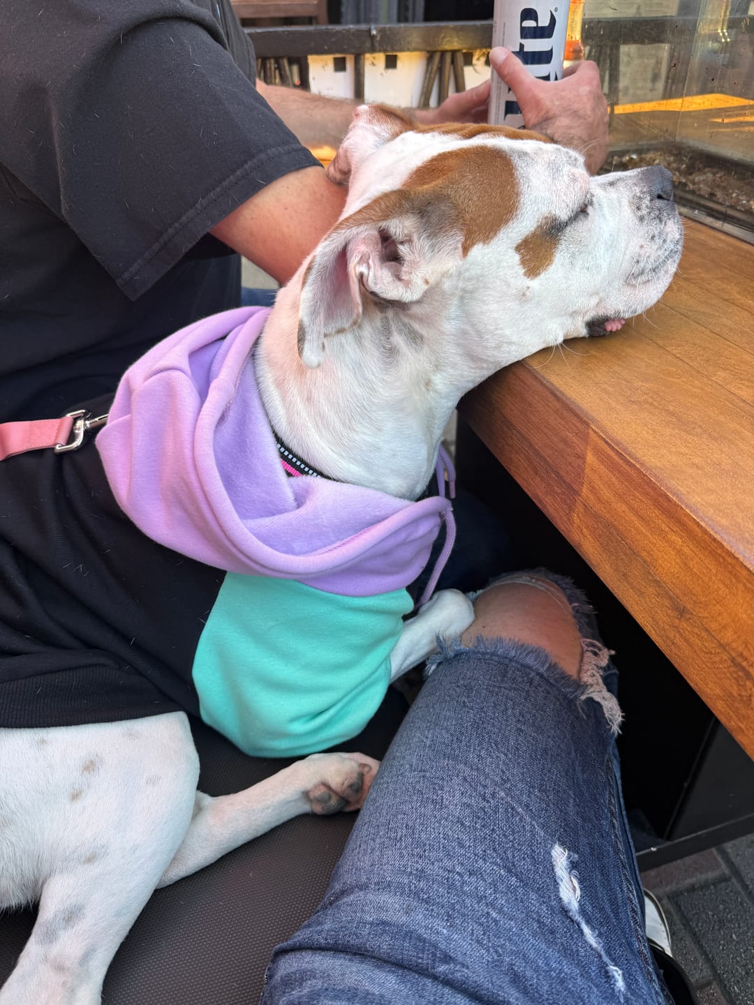 Customer photo review of Cyber Punk Human Hoodie