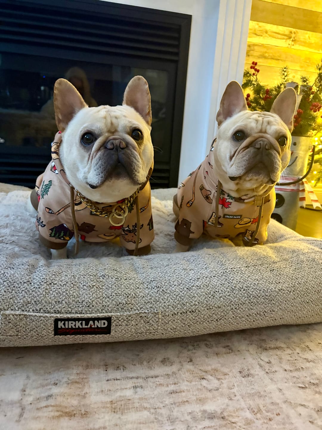 Customer photo review of Canada Dog Hoodie