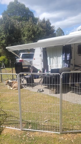 A dog relaxing inside the 8 Panel Pet Dog Playpen enclosure, set up under a caravan's awning while camping.