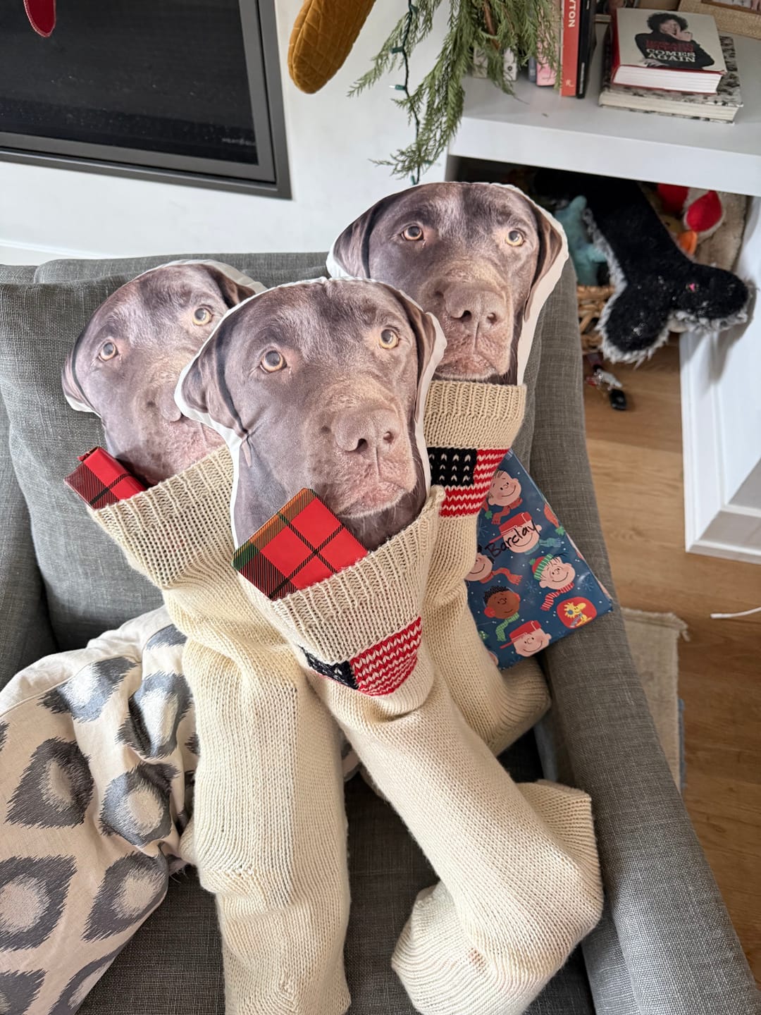 Customer photo review of Custom Pet Shaped Pillow that Look Like your Pet - ThePetPillow