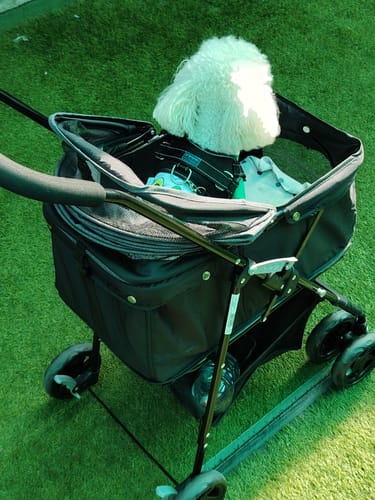 Customer photo review of Coche Mascotas Plegable Easy Perro Gato Negro BeePet by Bebesit