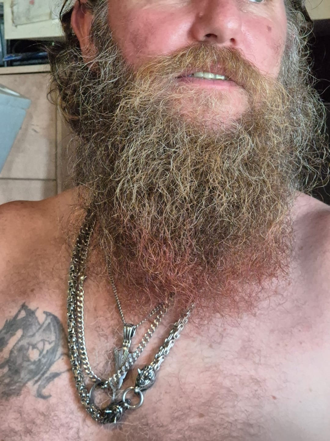Customer photo review of Gleipnir's Hold - Stainless Steel Fenrir Necklace