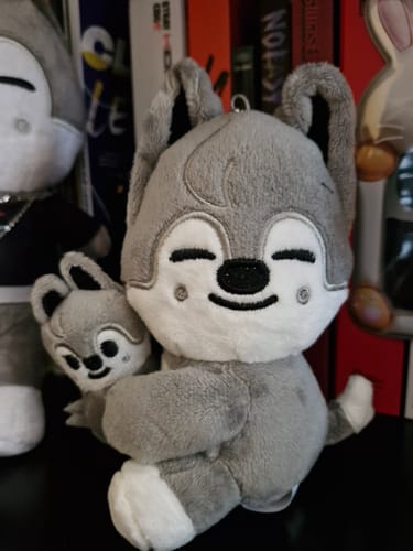 Customer photo review of SKZ dominATE : celebrATE Magnet Plush Set