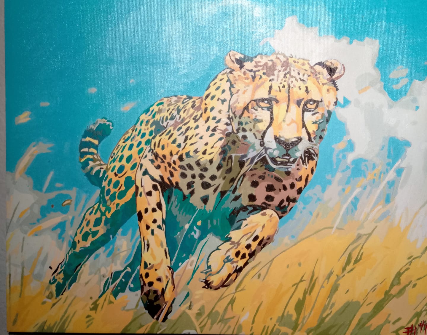 Customer photo review of The Fastest Mammal