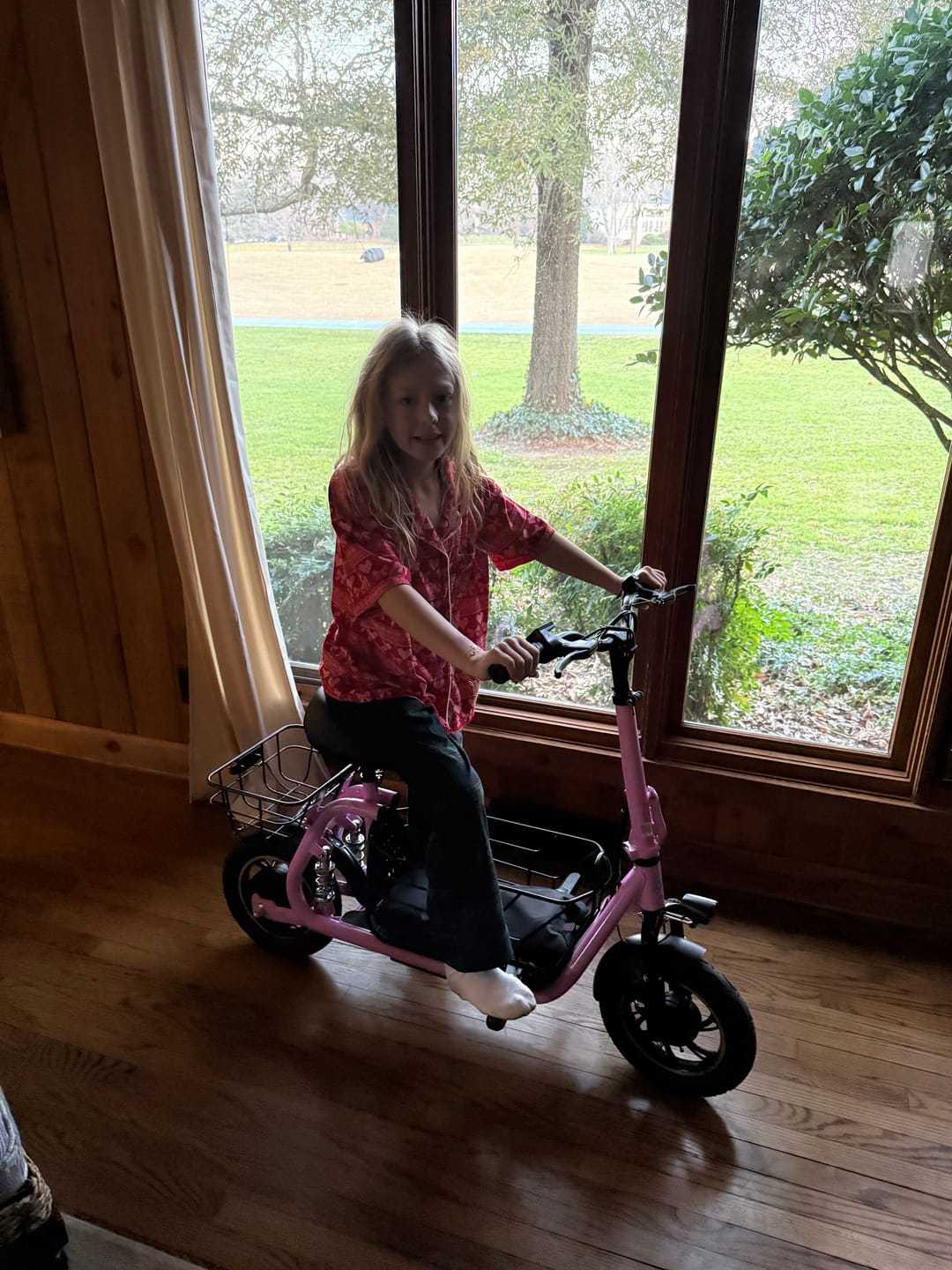 Customer photo review of Gyroor C1 Electric Scooter – 450W, Seat & Rear Basket