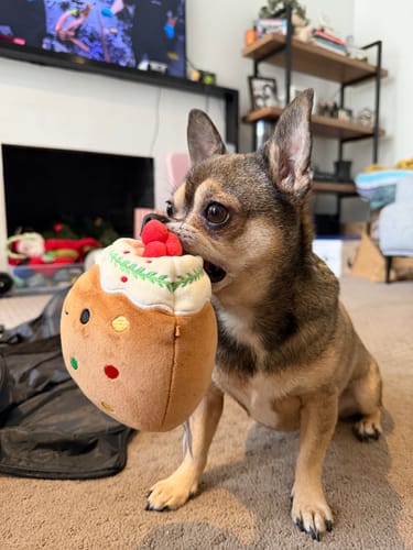 Customer photo review of Bugsy's Air-Dried Chicken