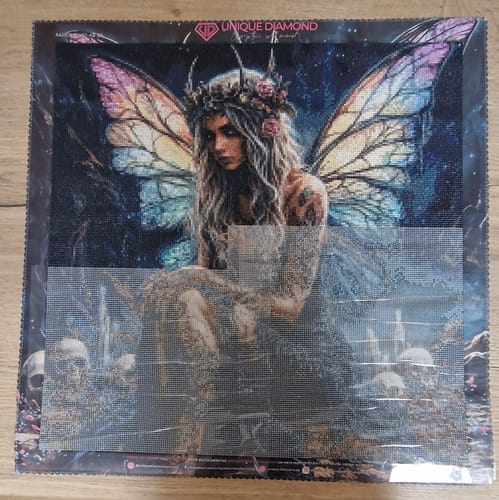 Customer photo review of 5D Diamond Painting –  Schattenfee mit Regenbogenflügeln