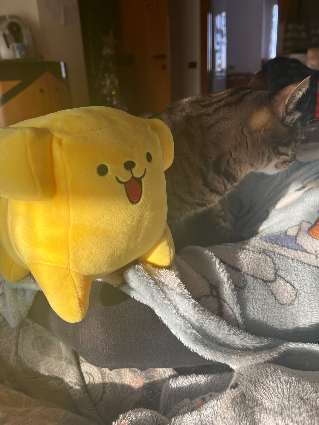 Customer photo review of Peluche Fufos + Albo Fumetti e Risate!
