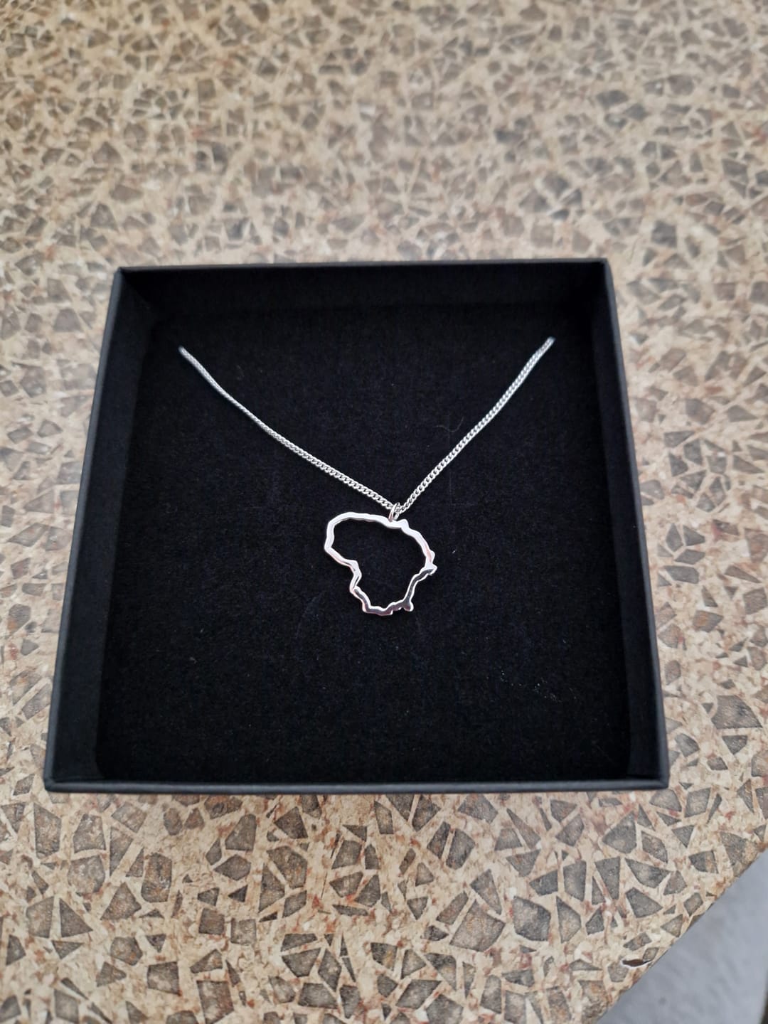 Customer photo review of Sidabrinis pakabukas "Lietuva"