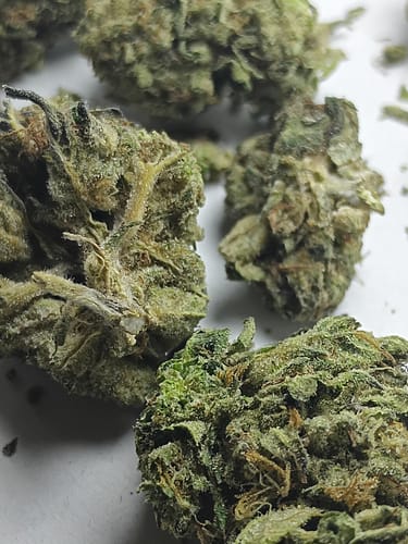 Customer photo review of Gotti OG THCA Don Flower