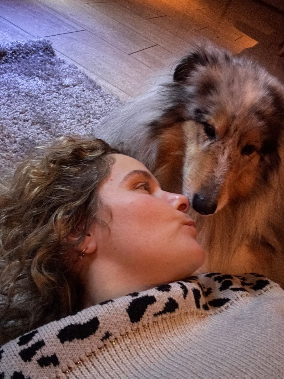 Customer photo review of Pet Perfect Hondenmand - Orthopedisch - Afritsbaar - Beige