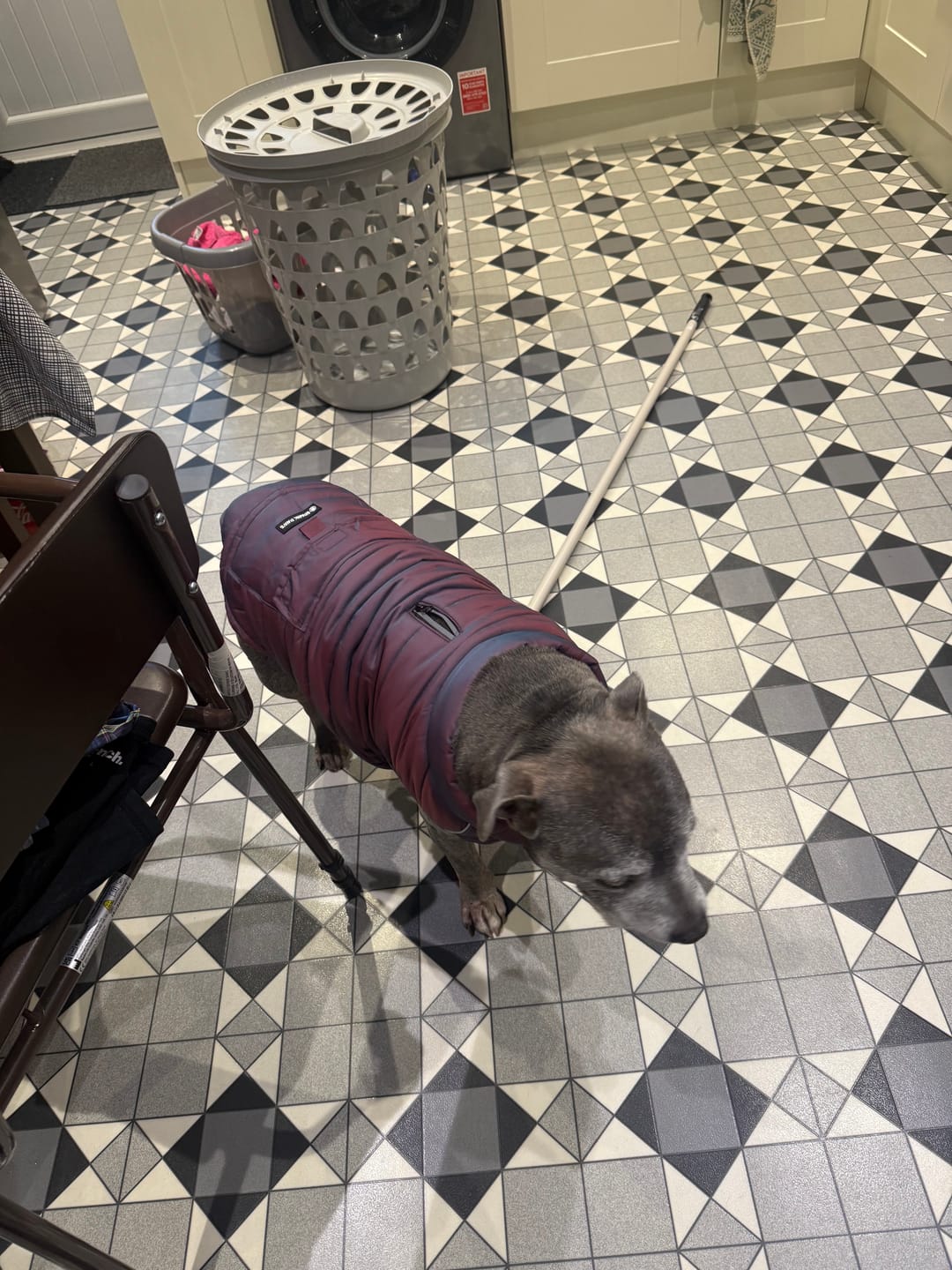 Customer photo review of WarmShield Water-Resistant Jacket - Cosmic