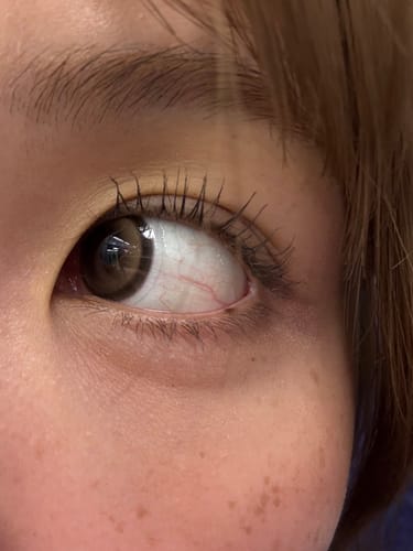 レビューアーの目元の接写。Cat-titude Kristin 1Dayタビーブラウンを装着し、くっきり綺麗な瞳に見せる。