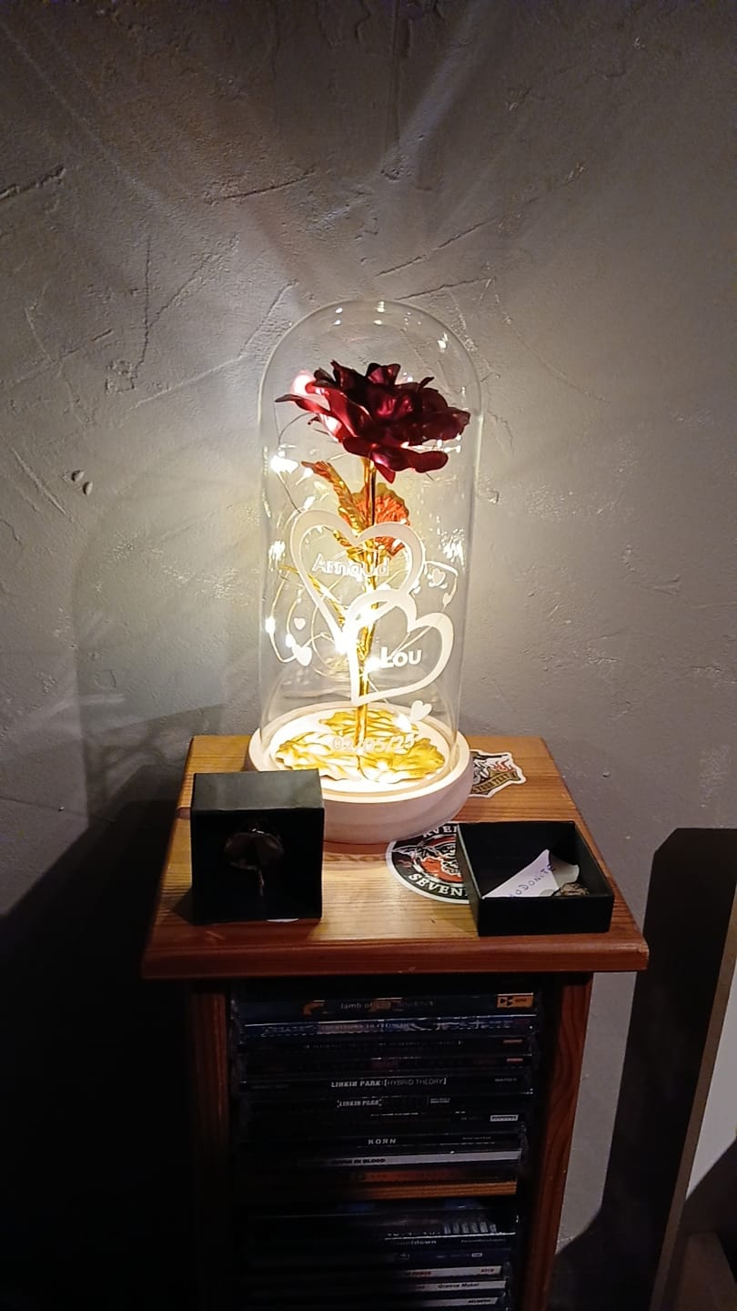 Customer photo review of Je t'aime - Rose éternelle sous cloche en verre avec lumière LED personnalisée avec noms et date anniversaire
