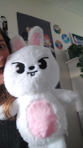 Customer photo review of SKZ Teddybear Plush