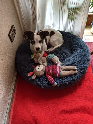 Customer photo review of Ohne mich wäre es langweilig - Personalisierbarer Hoodie Unisex Rückendruck