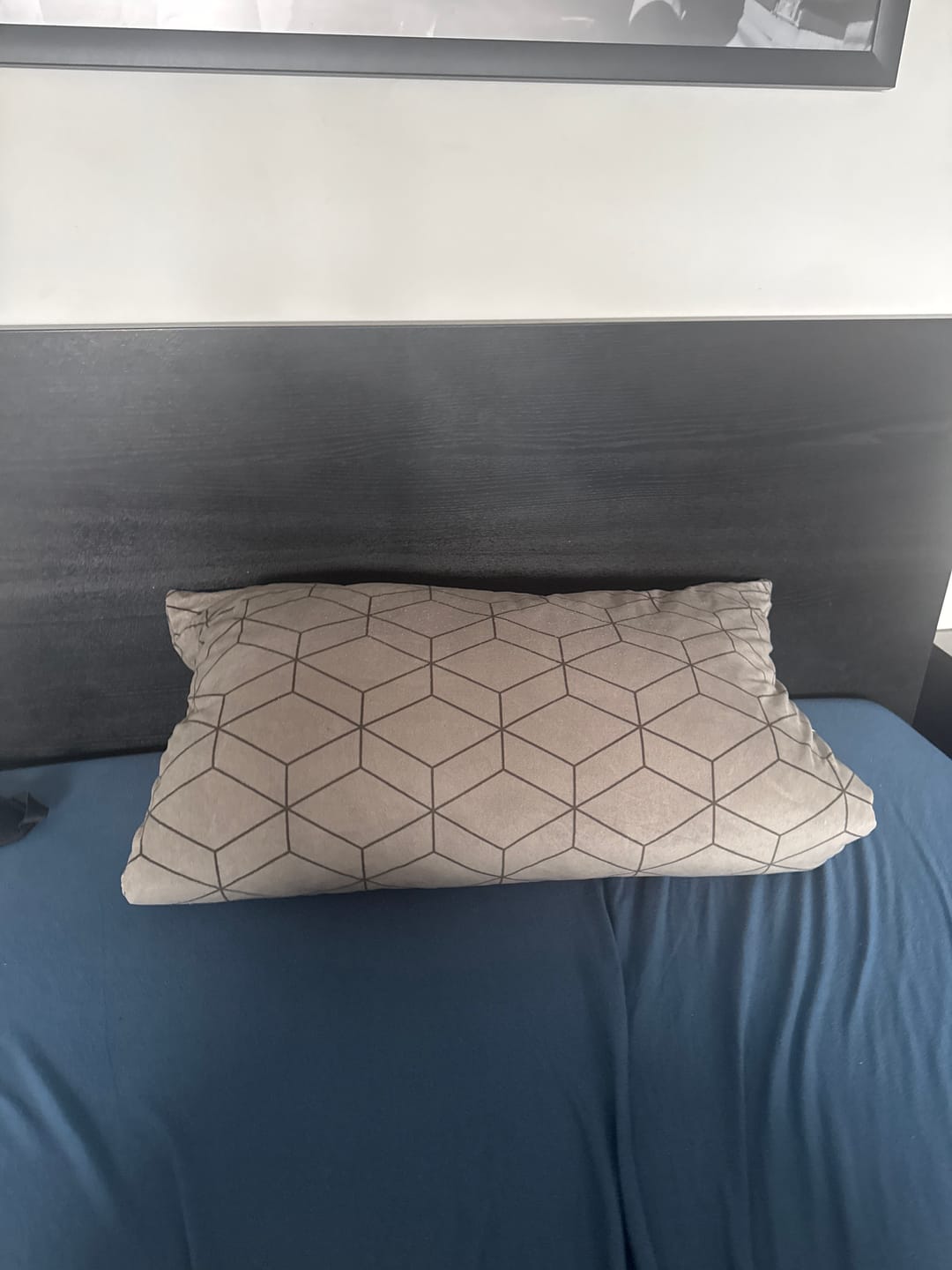 Customer photo review of 3-Kammern Daunenkissen