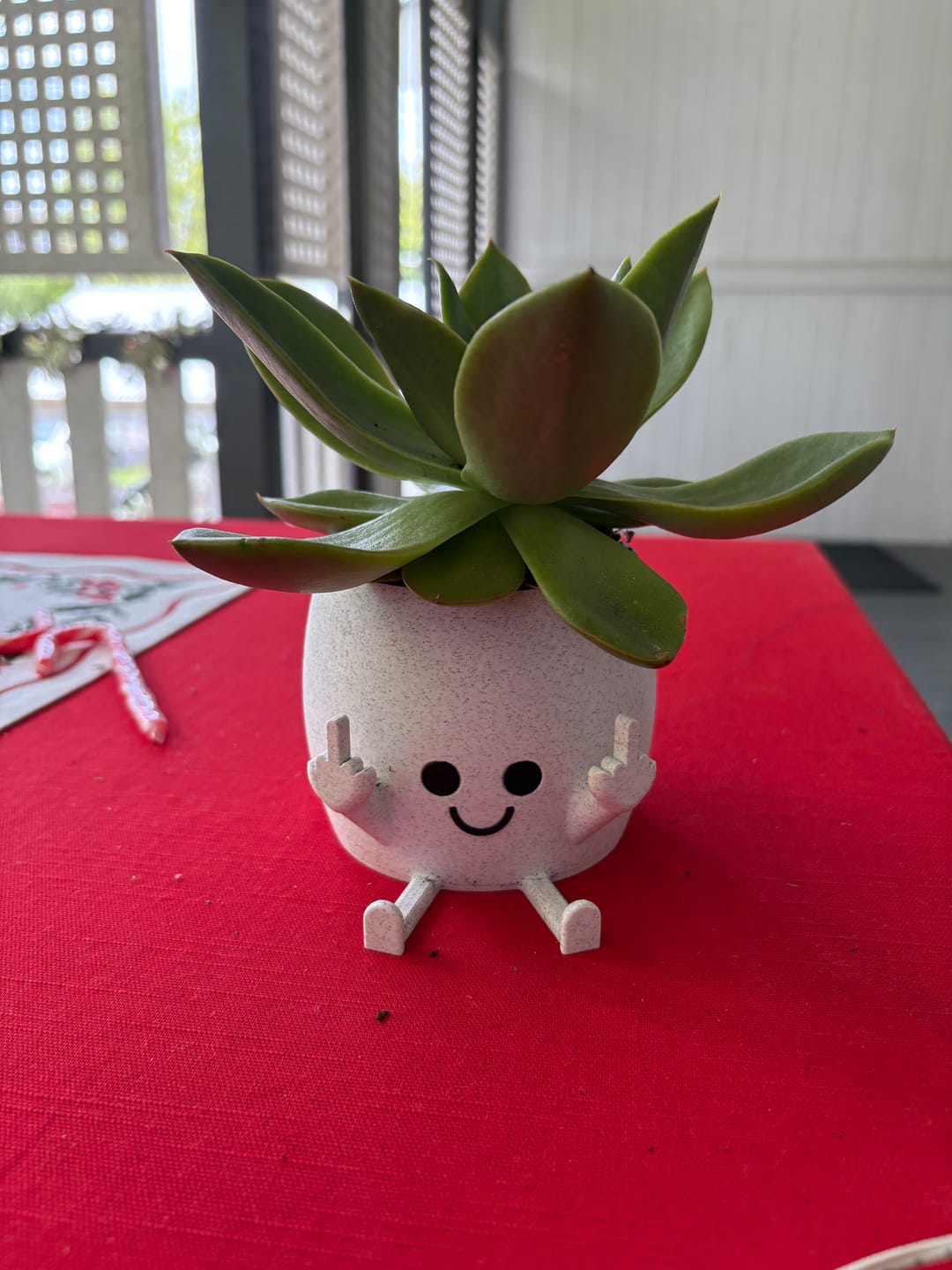 Customer photo review of Sassy & Happy 🖕 - Naughty Planter / Pen Holder