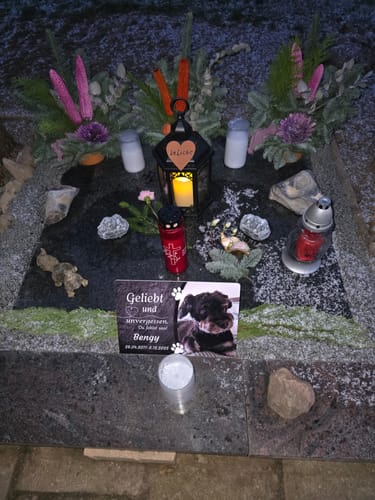 Customer photo review of Hunde Gedenktafel mit Foto & Spruch (UV- &  Wetterfest)