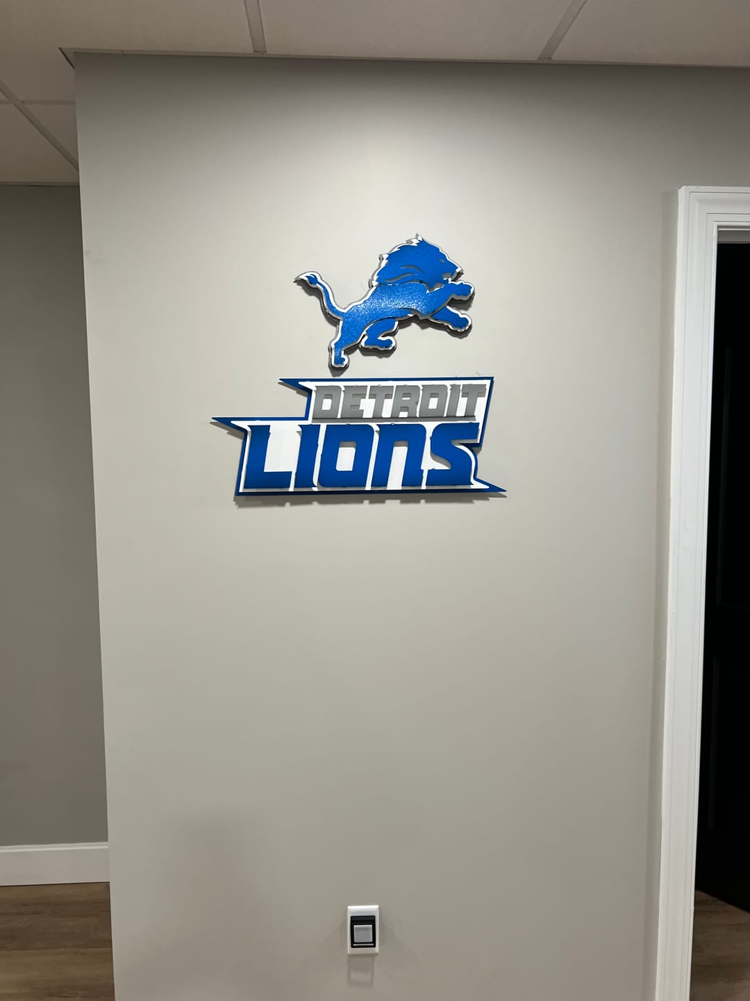 Customer photo review of Detroit Lions 3D Vintage Metal Wall Art