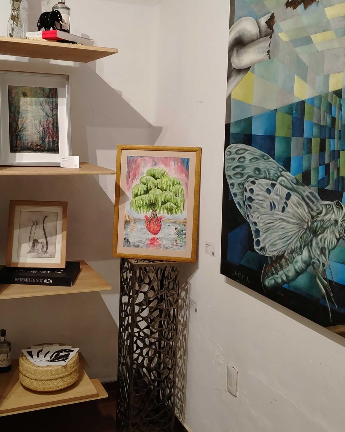 Customer photo review of MEMBRESIA VAN GOGH (pago anual)