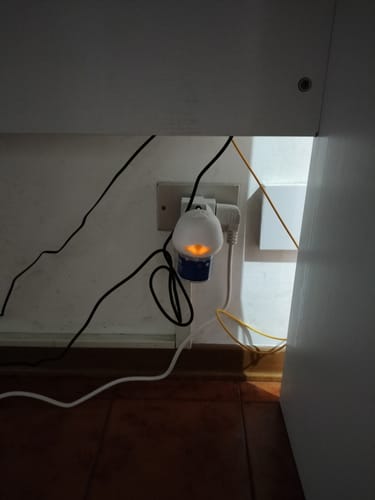 Customer photo review of Diffusore Calmante per Gatti