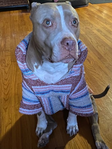 Customer photo review of Free & Easy Return or Exchange Coverage + Package Protection