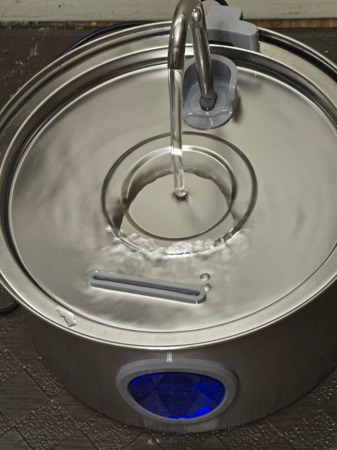Customer photo review of Pawdrate™ Filtered Water Fountain