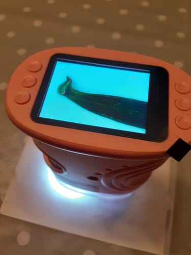 Das orangefarbene Abenteuer-Mikroskop eines Kunden zeigt ein vergrößertes Blatt auf dem leuchtenden Bildschirm.