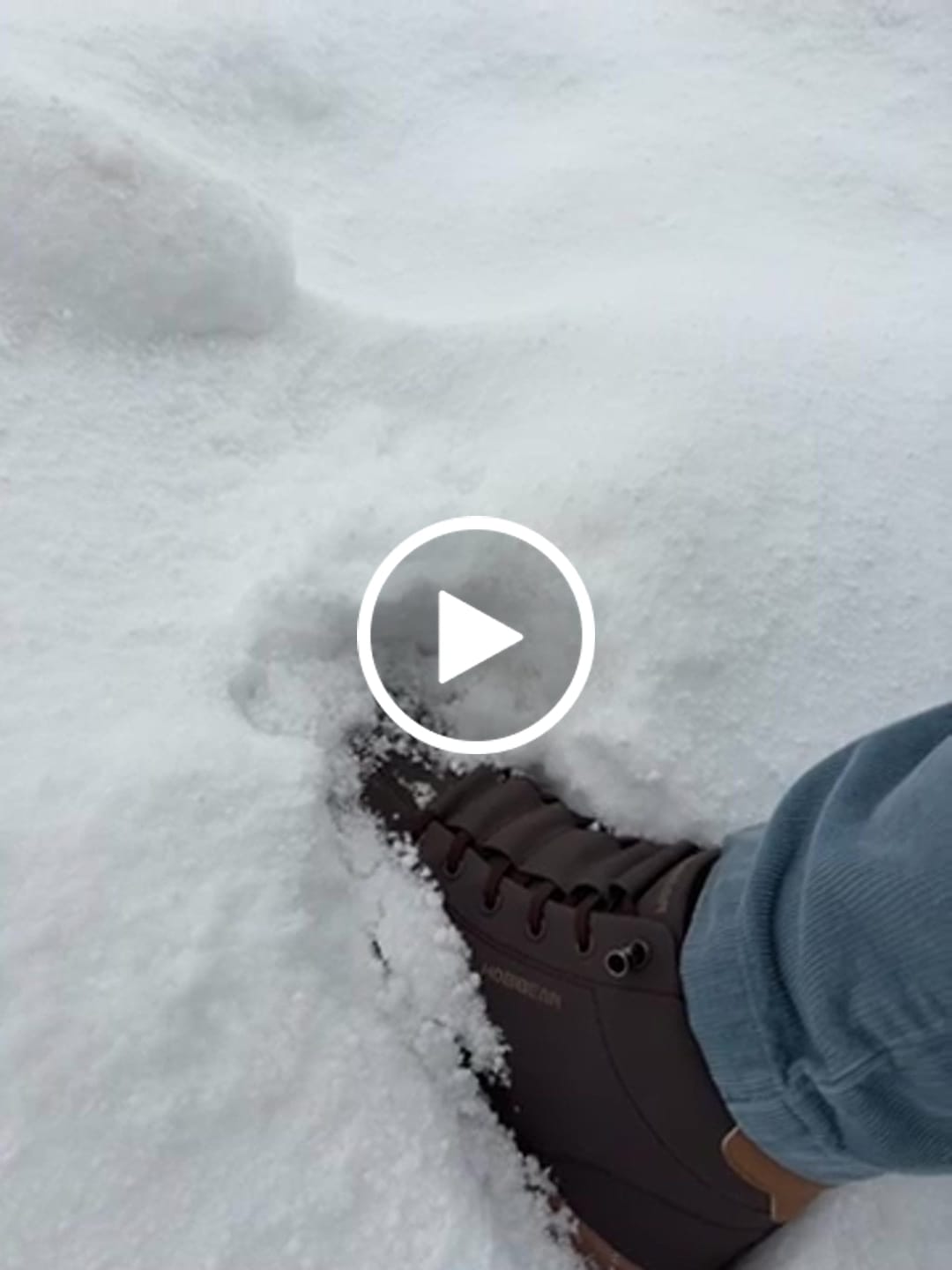 Customer video review of Ash - Winter Barfußschuhe