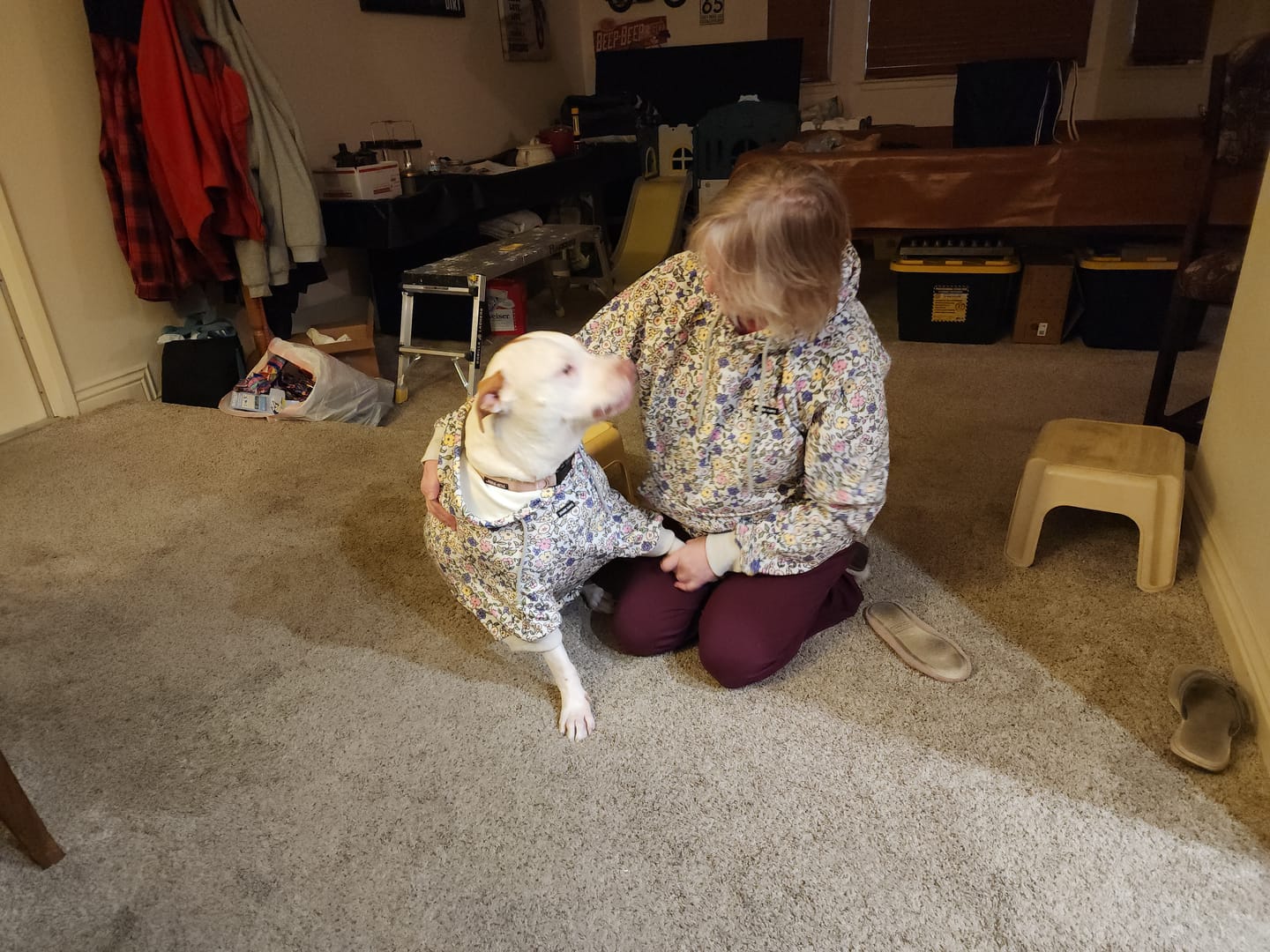 Customer photo review of Vintage Flower Dog Hoodie - Light Grey
